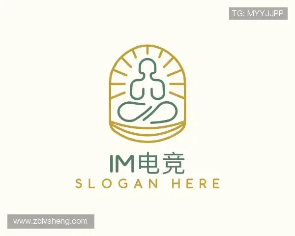 关于IM电竞